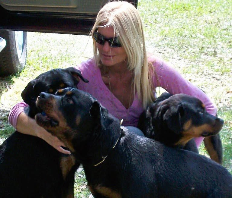 Female Rottweiler at Carla Johaus Rottweilers, Dade City FL - photo 23 of 24
